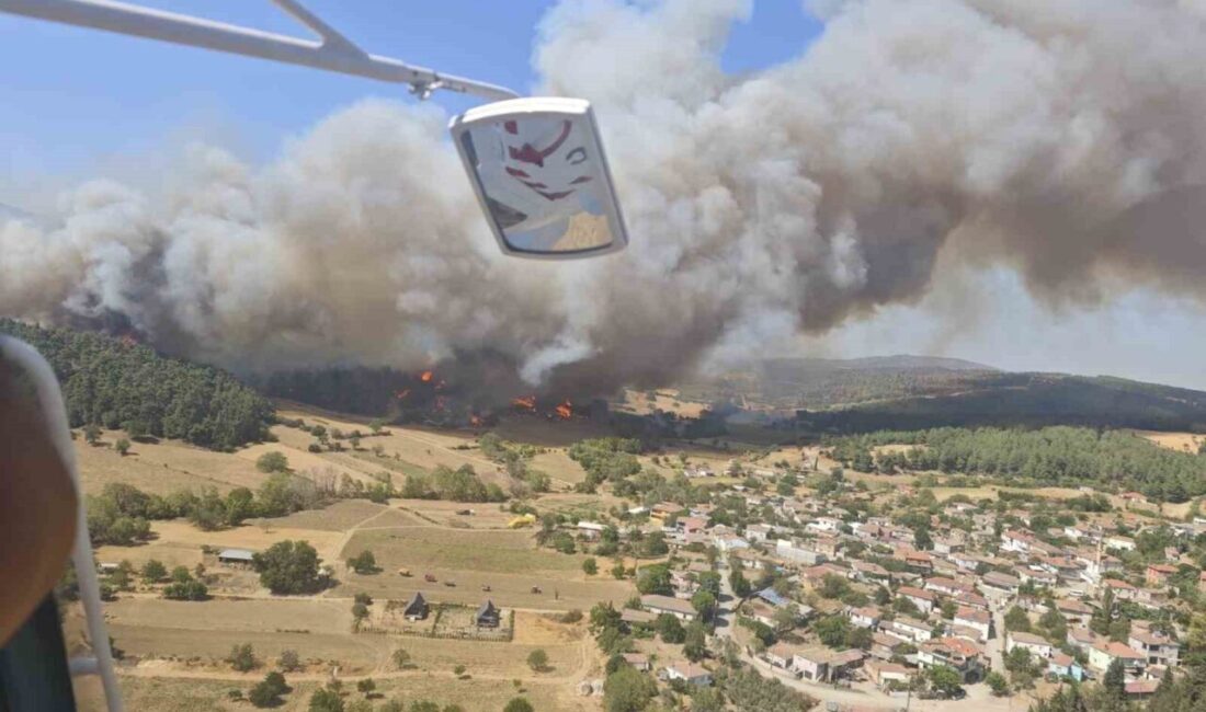 Çanakkale’nin Gelibolu ilçesinde çıkan orman yangınına Orman Bölge Müdürlüğü ekiplerinin