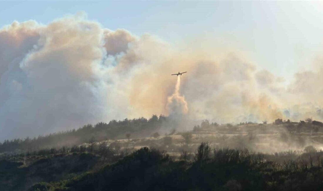 Çanakkale’nin Gelibolu ilçesinde çıkan orman yangınına Orman Bölge Müdürlüğü ekipleri