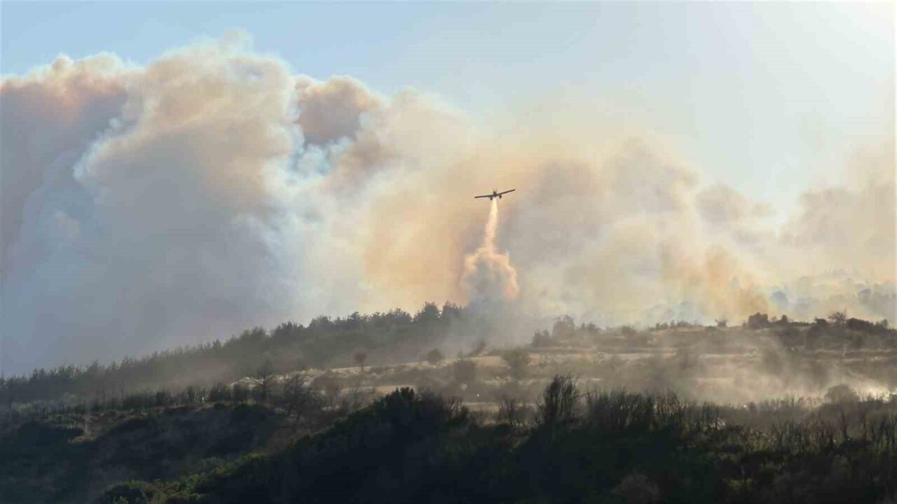 Çanakkale’nin Gelibolu ilçesinde çıkan orman yangınına Orman Bölge Müdürlüğü ekipleri