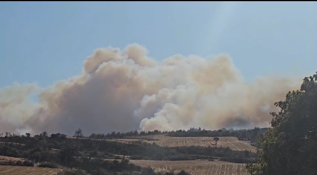 Çanakkale’nin Gelibolu ilçesinde çıkan orman yangınına Orman Bölge Müdürlüğü ekipleri