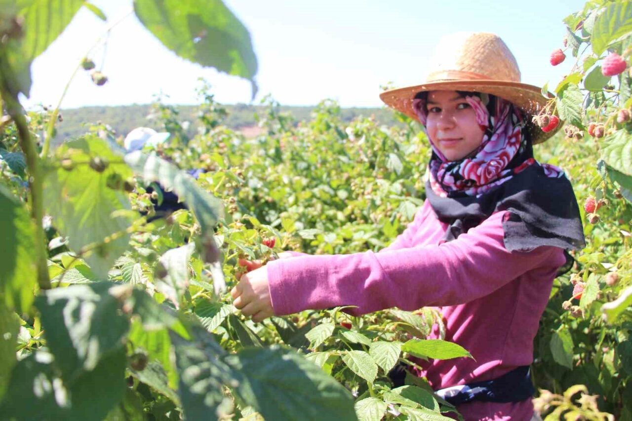 Bolu’da yaşayan 26 yaşındaki Yunus Emre Kalaycı, memur babasından aldığı