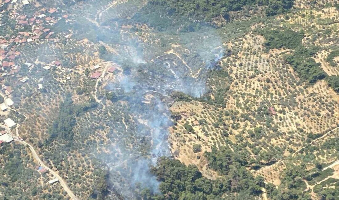 Aydın’ın Germencik ilçesinde ormanlık alanda meydana gelen yangını kontrol altına