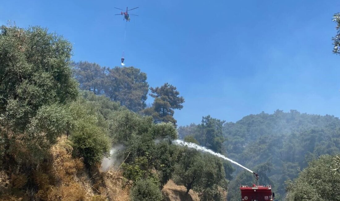 Aydın’ın Germencik ilçesinde ormanlık alanda meydana gelen yangını havadan ve