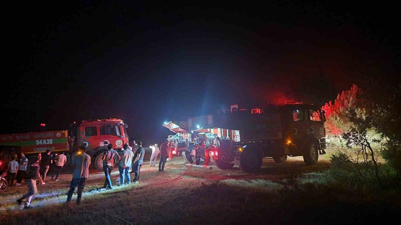 Sakarya’nın Geyve ilçesinde çıkan ormanlık alan yangınında yaklaşık 5 dönüm