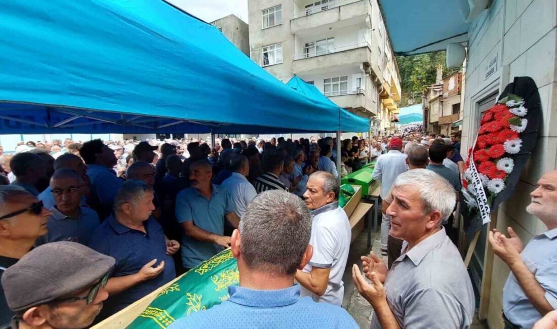 Giresun’un Doğankent ilçesi Oyraca köyünde dün meydana gelen trafik kazasında