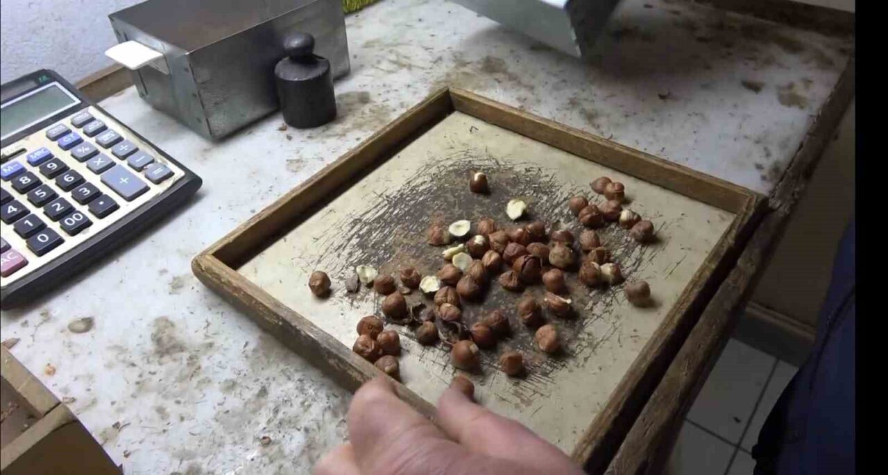 Fındık üreticilerinin en çok ihtiyaç duyduğu hesaplama araçlarından biri olan