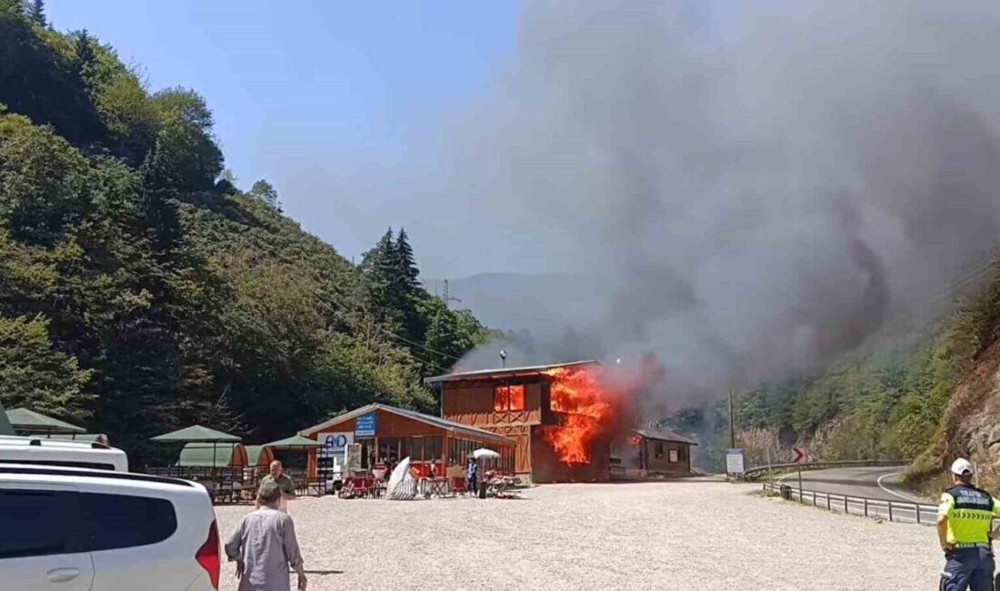 Giresun’un en önemli turizm merkezlerinden biri olan Kuzalan Tabiat Parkı’ndaki