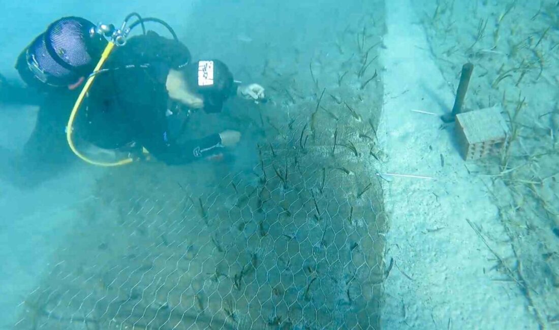 Garanti BBVA ve TURMEPA iş birliğiyle yürütülen Mavi Nefes Projesi’nin