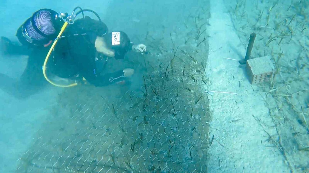 Garanti BBVA ve TURMEPA iş birliğiyle yürütülen Mavi Nefes Projesi’nin