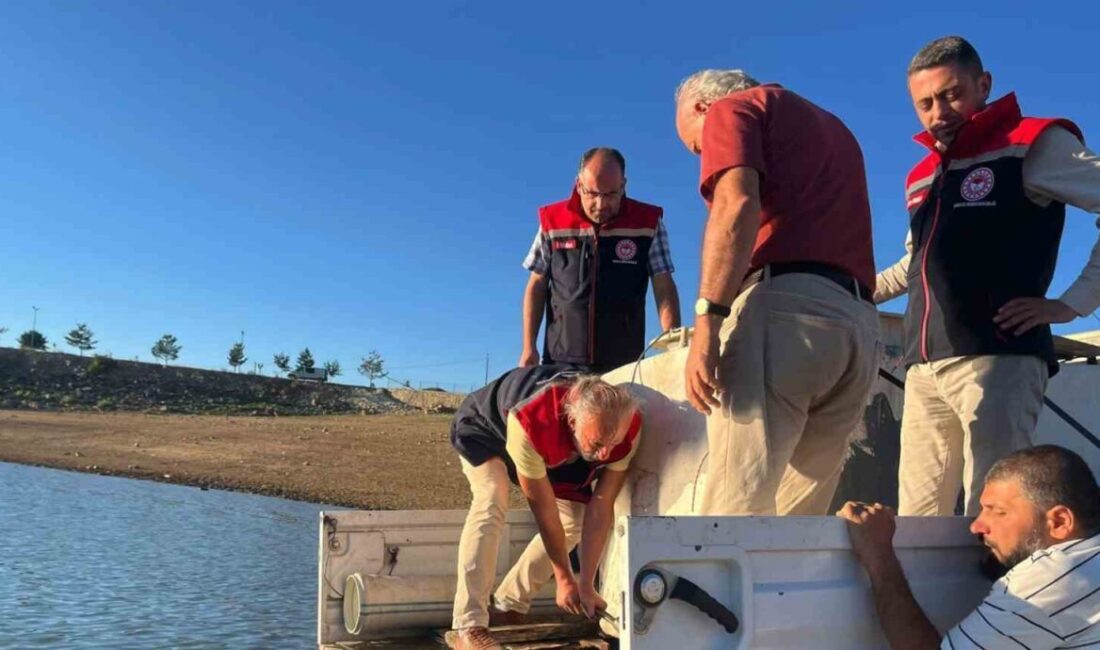 Tarım ve Orman Bakanlığı tarafından yürütülen ‘Su Kaynaklarını Balıklandırma Projesi’
