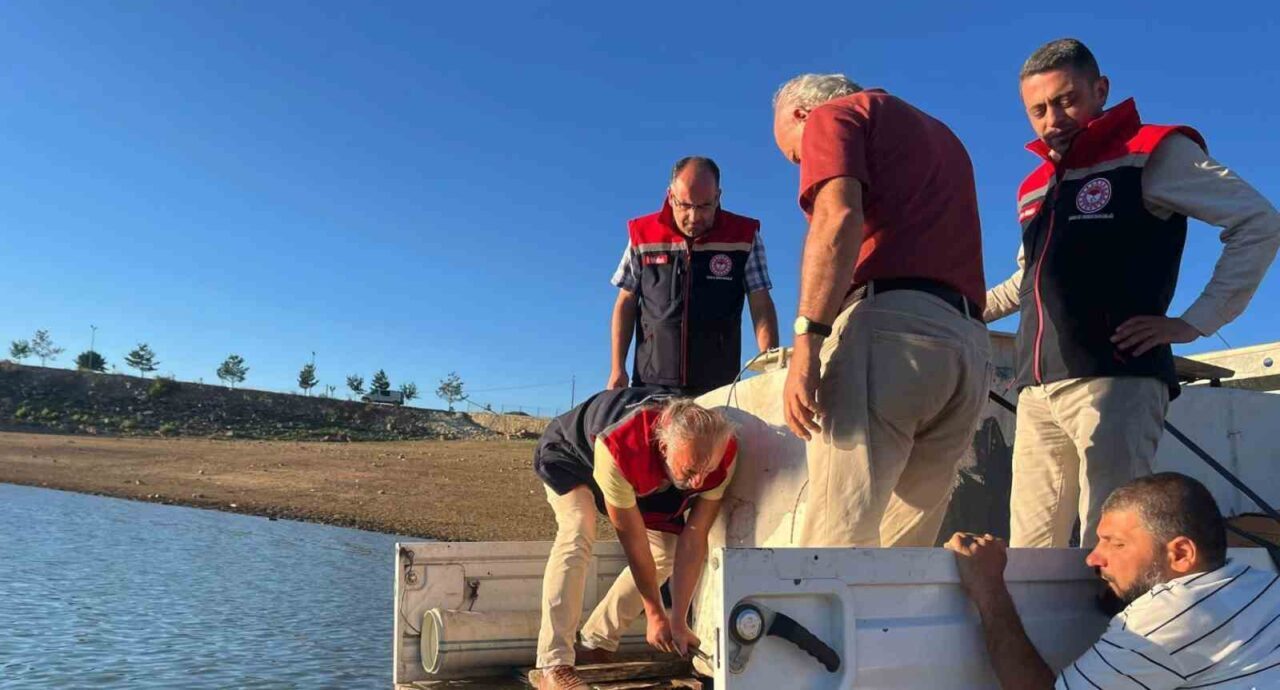 Tarım ve Orman Bakanlığı tarafından yürütülen ‘Su Kaynaklarını Balıklandırma Projesi’