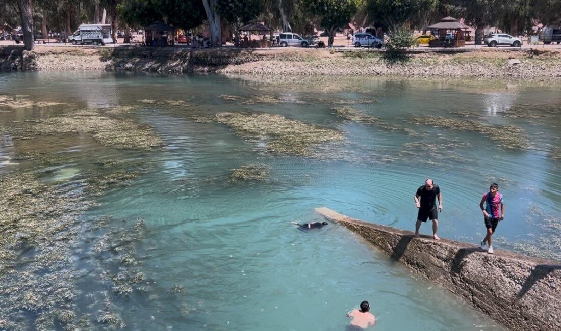 Mersin’in Tarsus ilçesinde baraj gölüne giren 8 yaşındaki çocuk boğuldu,
