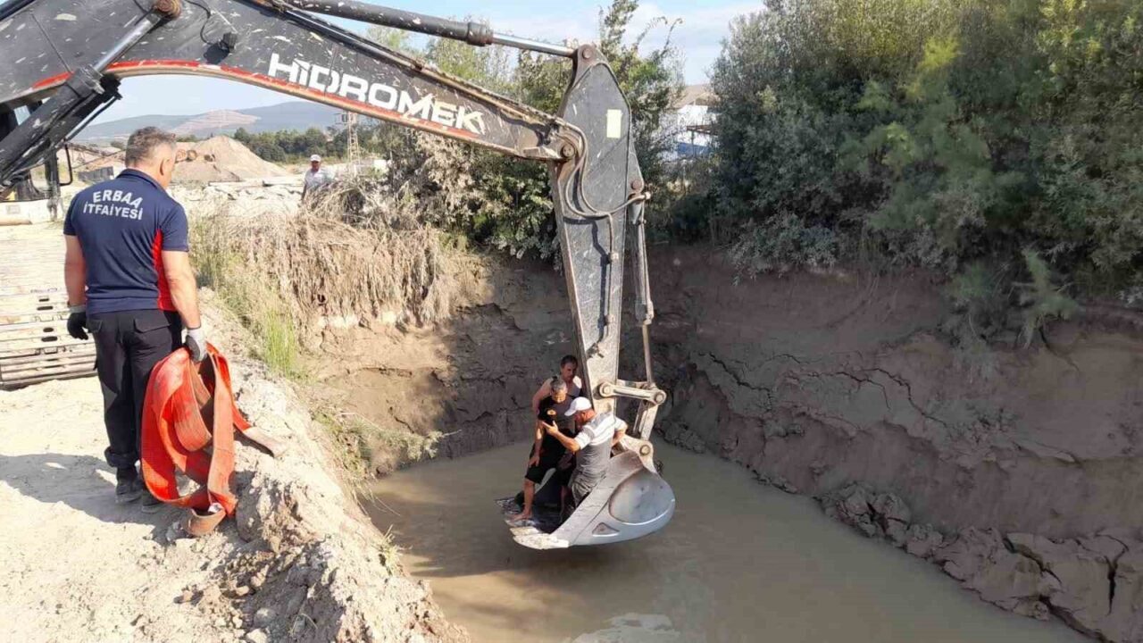 Tokat’ın Erbaa ilçesinde gölete düşen 3 inek, itfaiye ekiplerinin yaklaşık
