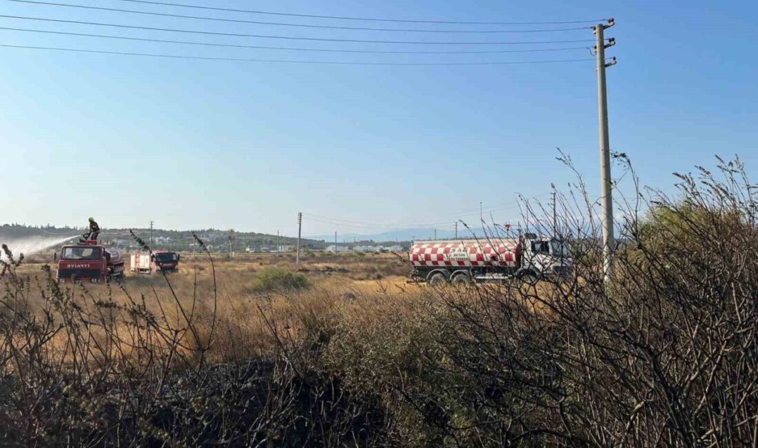Gömeç yangını kontrol altında Balıkesir’in Gömeç ilçesinde çıkan arazi yangını kontrol altına alındı. Gömeç