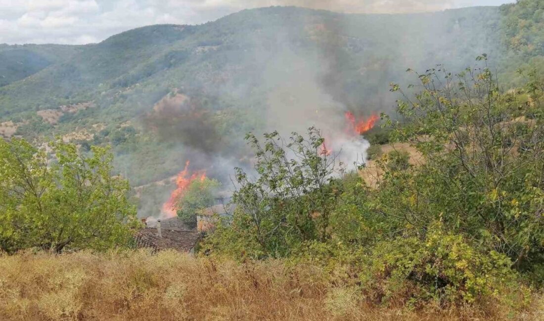 Balıkesir’in Gönen ilçesine bağlı Yürükkeçidere Mahallesi’nde çıkan yangında yaklaşık 5