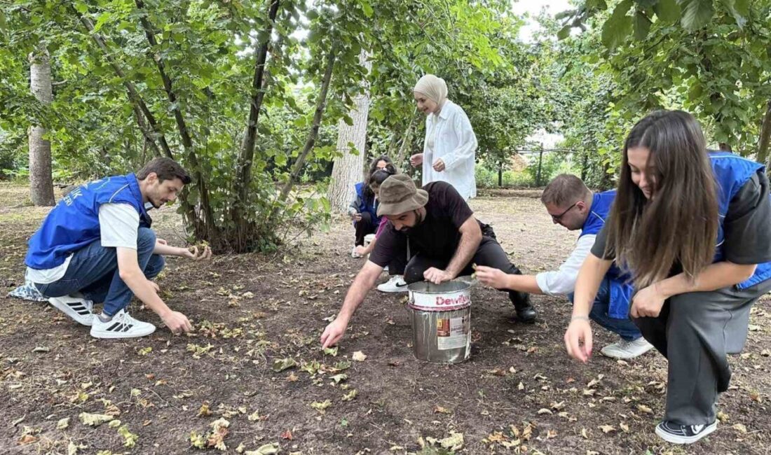 DÜZCE(İHA) – Düzce Gençlik ve Spor il Müdürlüğüne bağlı gençlik