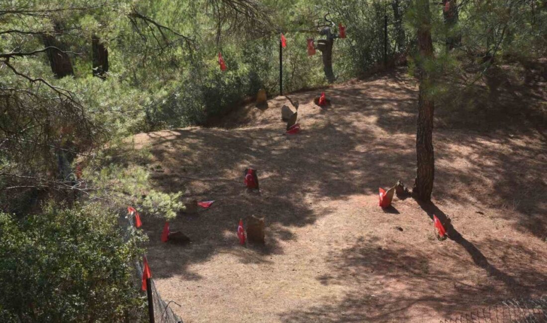 Aydın’ın Efeler ilçesi Gözpınar Mahallesi’nde düzenlenecek olan tören ile şehitler