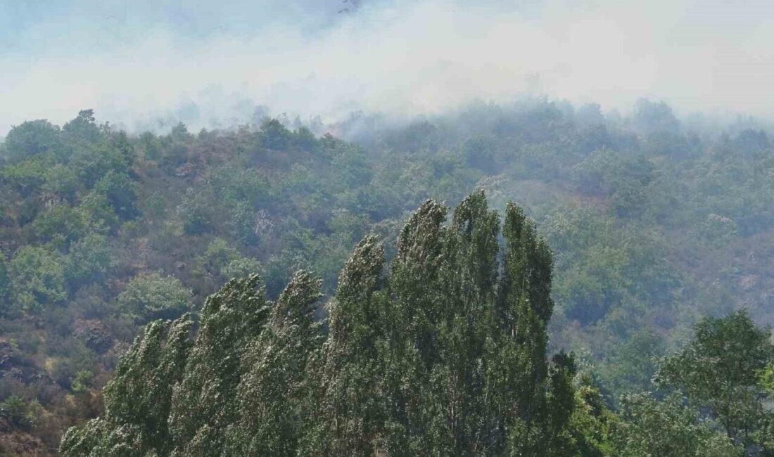 Gümüşhane’nin Kürtün ilçesinde ağaçlık alanda yangın çıktı. Ekiplerin müdahalesi sürüyor.
