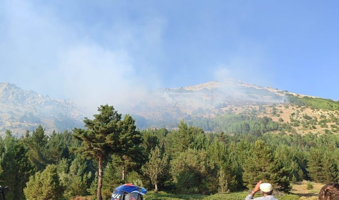 Gümüşhane’nin Şiran ilçesinde çıkan örtü yangını, ekiplerin müdahalesiyle söndürüldü. Şiran’ın
