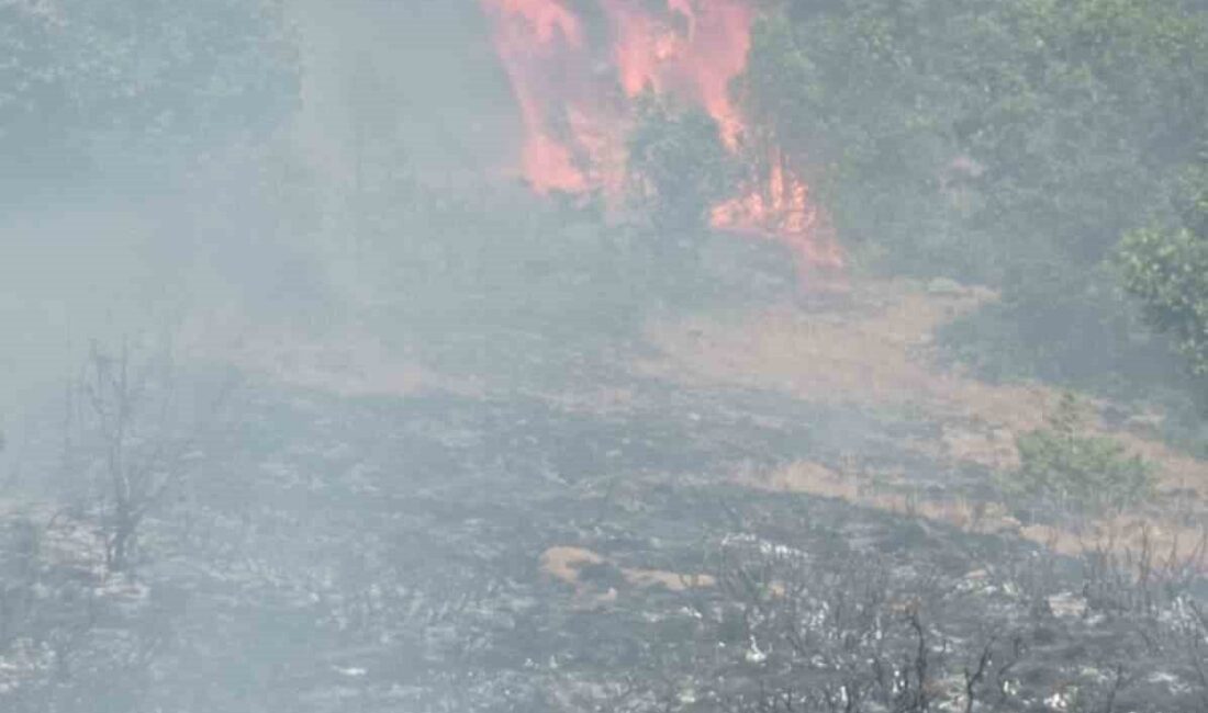 Gümüşhane’nin Kelkit ilçesine bağlı Gümüşgöze beldesinde çobanın yaktığı ateşin kuru