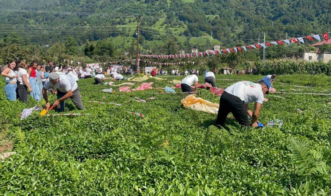 Artvin’in Arhavi ilçesinde 51. kez düzenlenen Uluslararası Arhavi Kültür ve