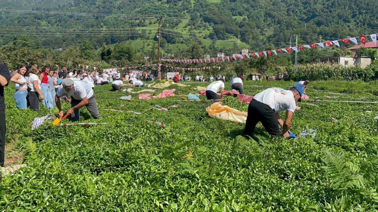 Artvin’in Arhavi ilçesinde 51. kez düzenlenen Uluslararası Arhavi Kültür ve