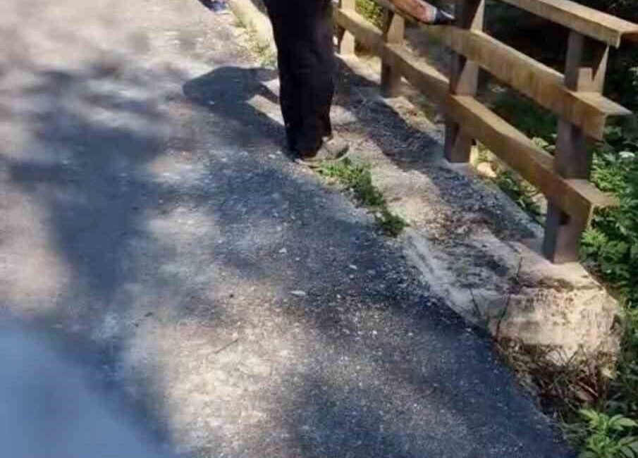 SİNOP (İHA) – Almanya’dan memleketleri Sinop’un Ayancık ilçesi Belpınar köyüne