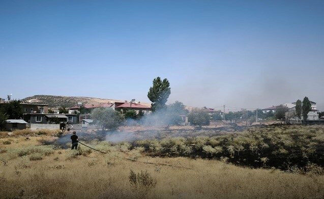 Bitlis’in Güroymak ilçesinde çıkan yangında 10 hektarlık alan yandı. Edinilen