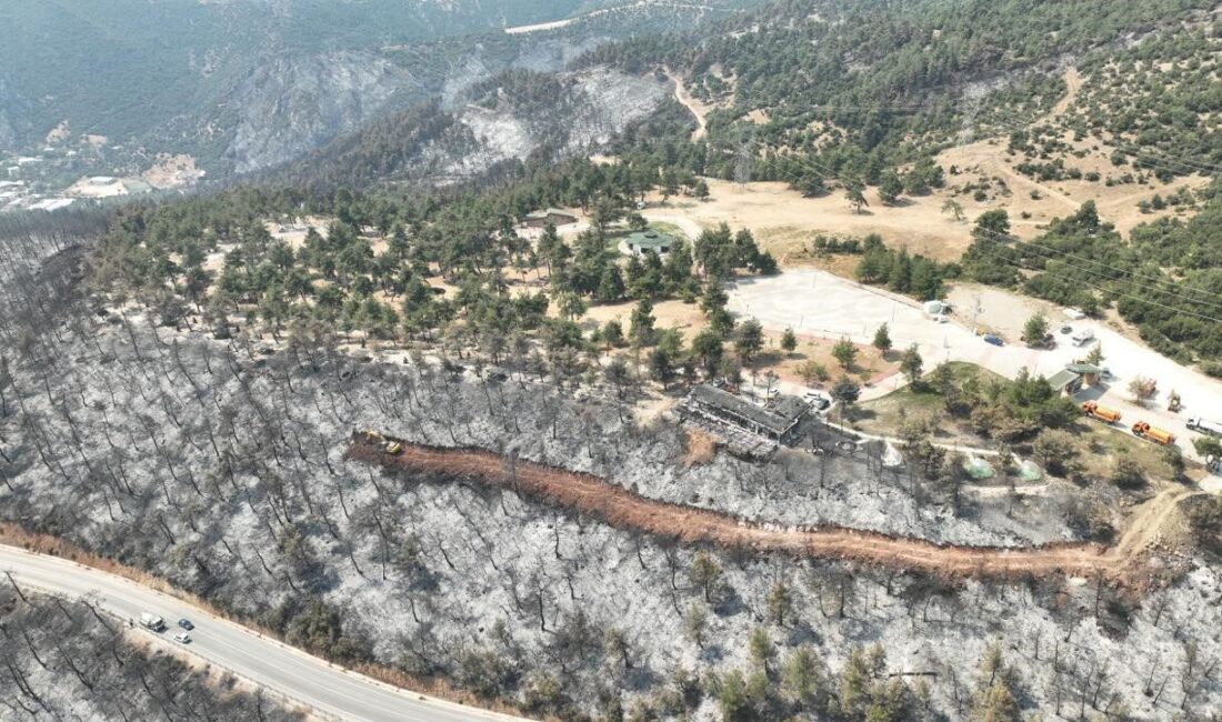 Gürsu kır lokantası ve terası küllerden temizlendi Gürsu’daki yangın faciasında, 80 dönümlük mesire alanı içinde yer alan