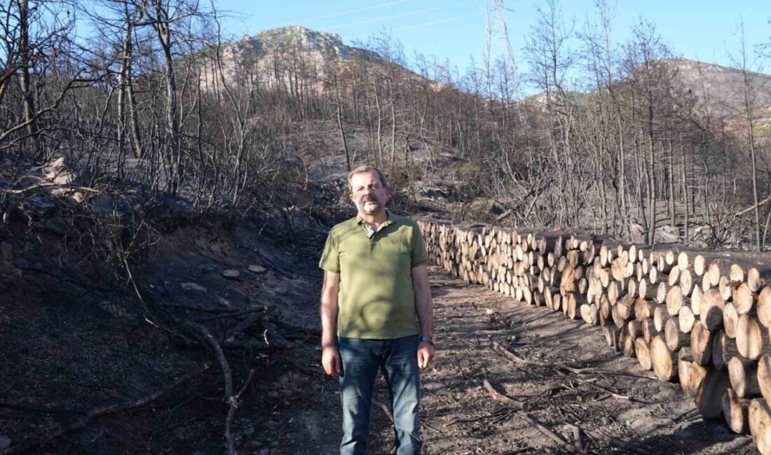 Bursa’nın Gürsu ilçesinde yaşanan orman yangınına ilişkin açıklama yapan Gürsu