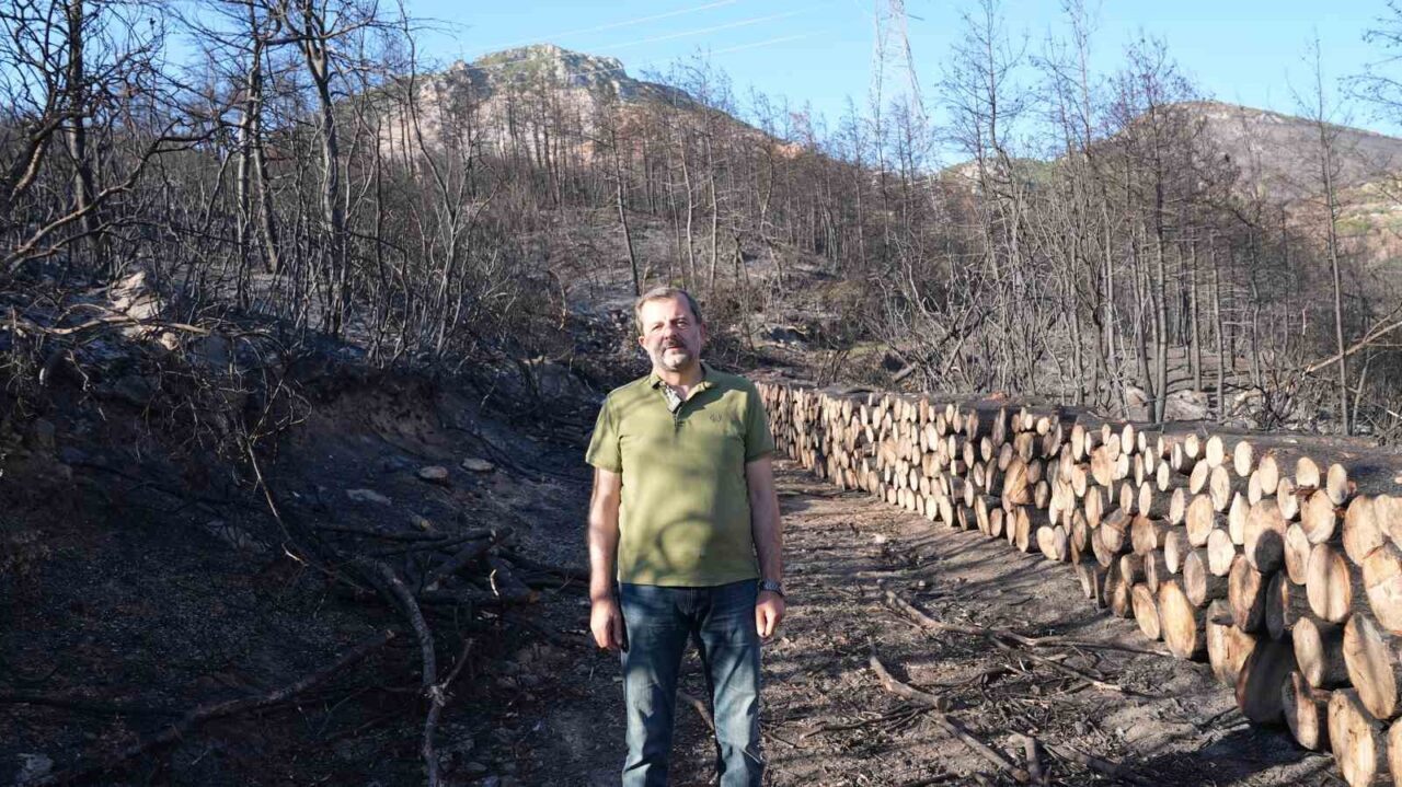 Bursa’nın Gürsu ilçesinde yaşanan orman yangınına ilişkin açıklama yapan Gürsu