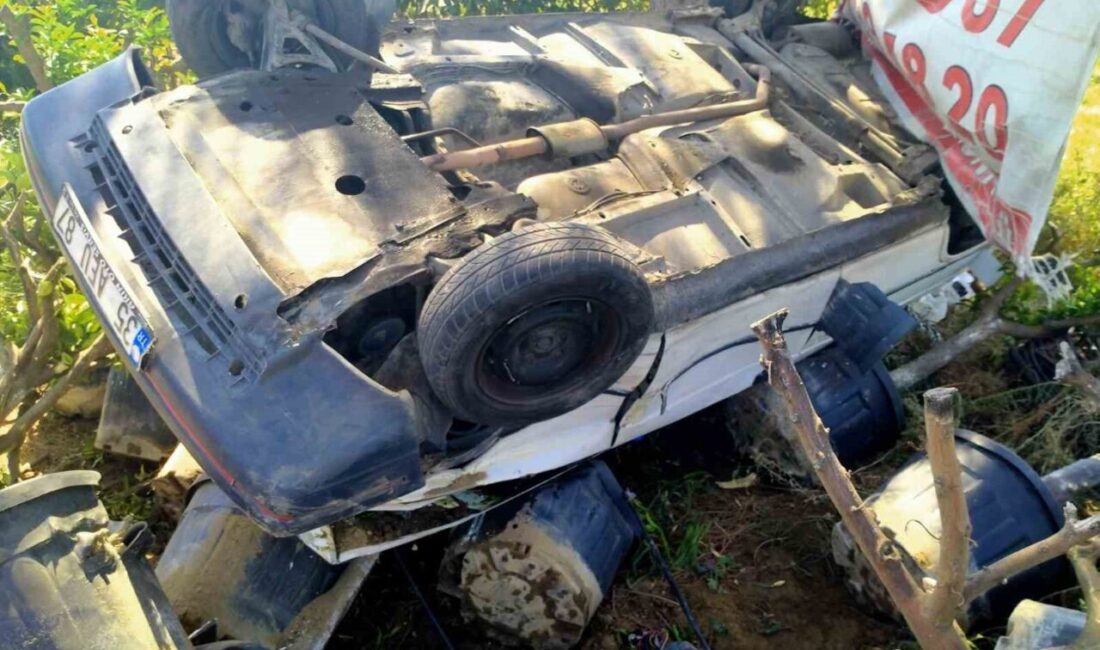 Aydın’ın Buharkent ilçesinde direksiyon hakimiyeti kaybolan ve yol kenarındaki fidanlığa