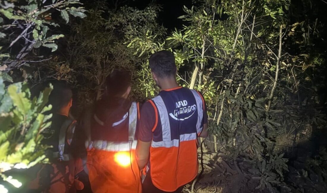 Hakkari’nin Şemdinli ilçesinde çıkan orman yangını, ekiplerin zamanında müdahalesiyle büyümeden