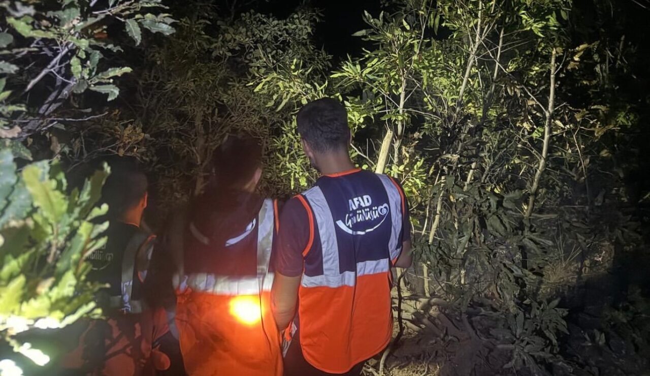 Hakkari’nin Şemdinli ilçesinde çıkan orman yangını, ekiplerin zamanında müdahalesiyle büyümeden