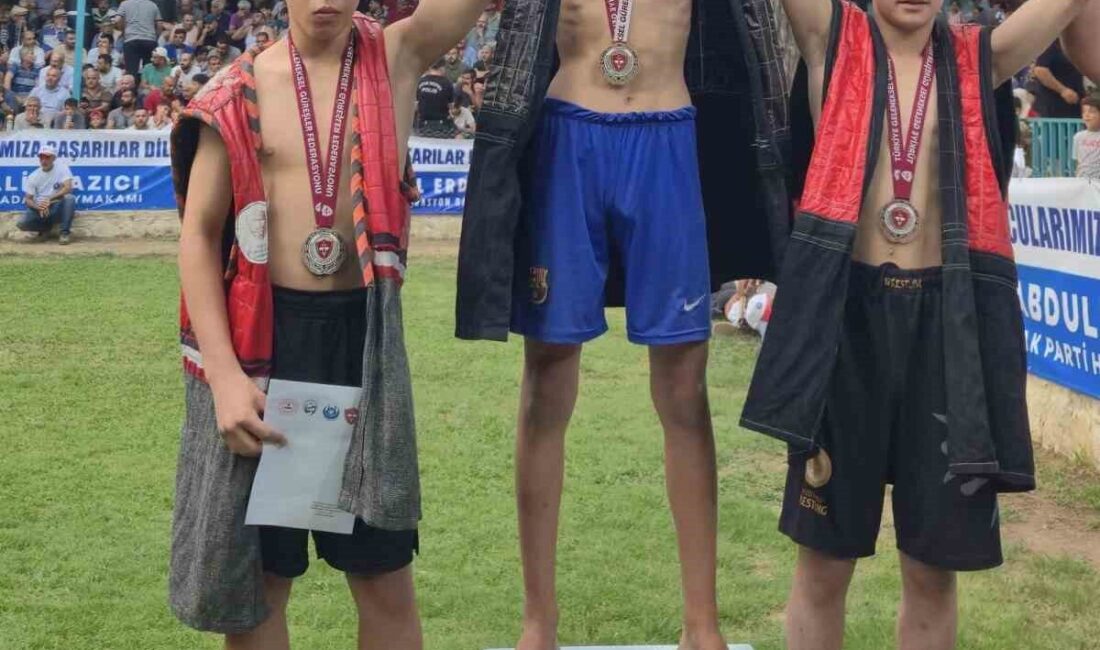 Hatay’da 23.’sü düzenlenen geleneksel kültür sanat ve aba güreşi festivalinde