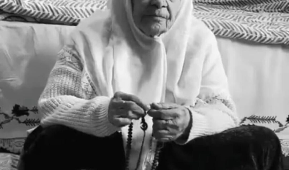 Hakkari’nin Şemdinli ilçesinde çevresinde ‘Asırlık Çınar’ olarak bilinen 115 yaşındaki