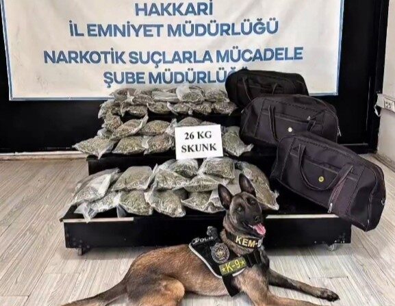 Hakkari’nin Yüksekova ilçesinde ev eşyası yüklü kamyonette 26 kilogram skunk