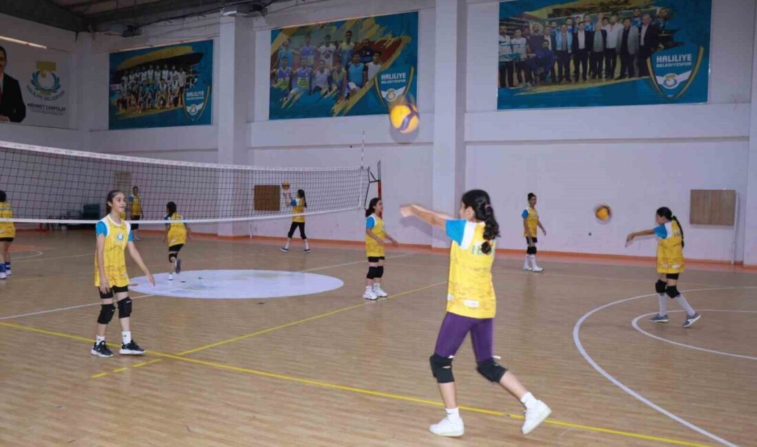 Haliliye Belediyesi, gençlerin sportif gelişimlerini desteklemek amacıyla yürüttüğü spor kurslarıyla