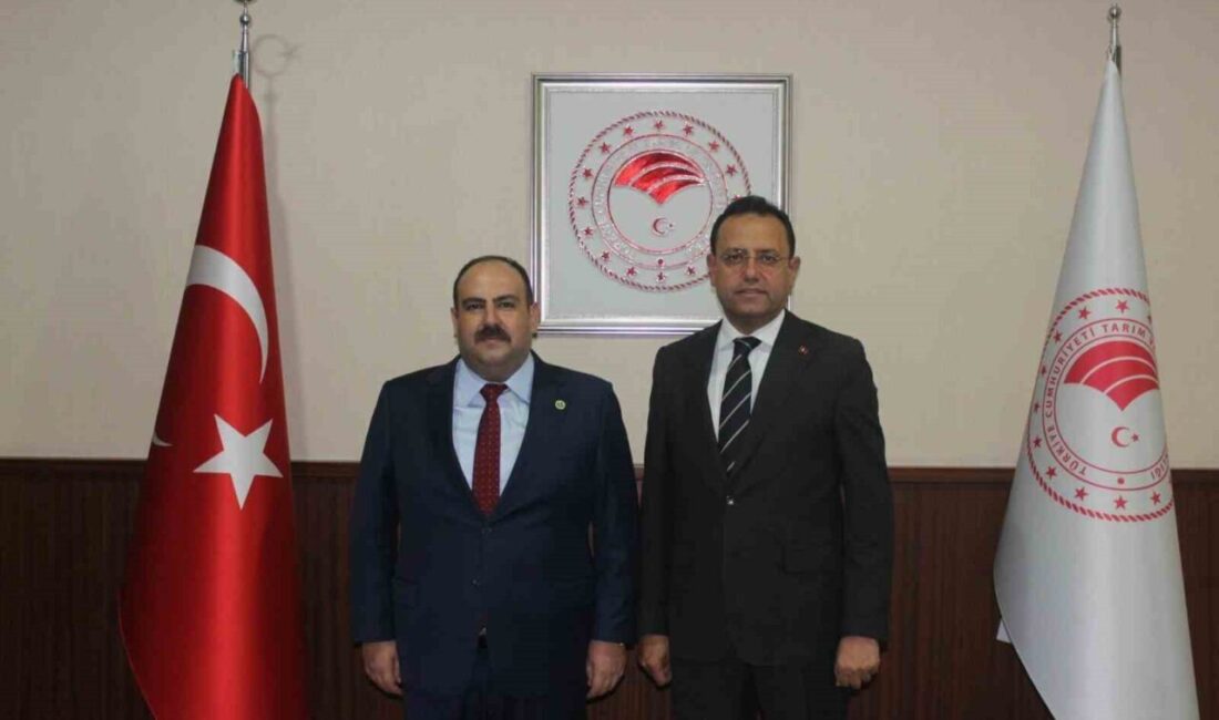 İnönü Belediye Başkanı Serhat Hamamcı, Ankara’da gerçekleştirdiği ziyaretlerle ilçede devam