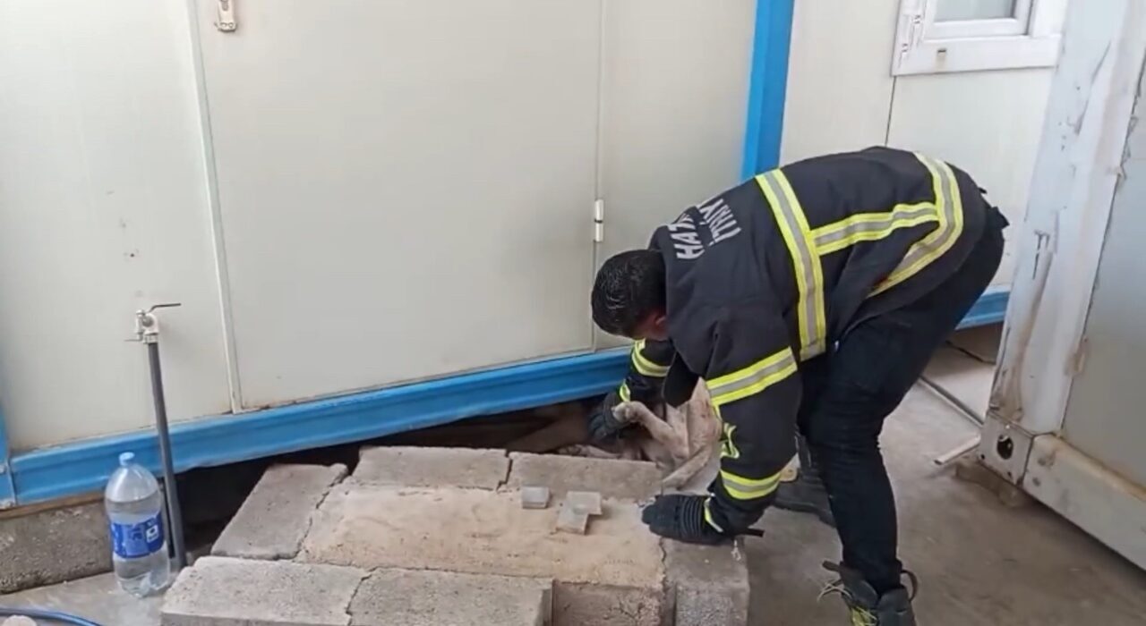 Hatay’da konteynerin altına sıkışarak mahsur kalan köpek, itfaiye ekiplerinin müdahalesiyle