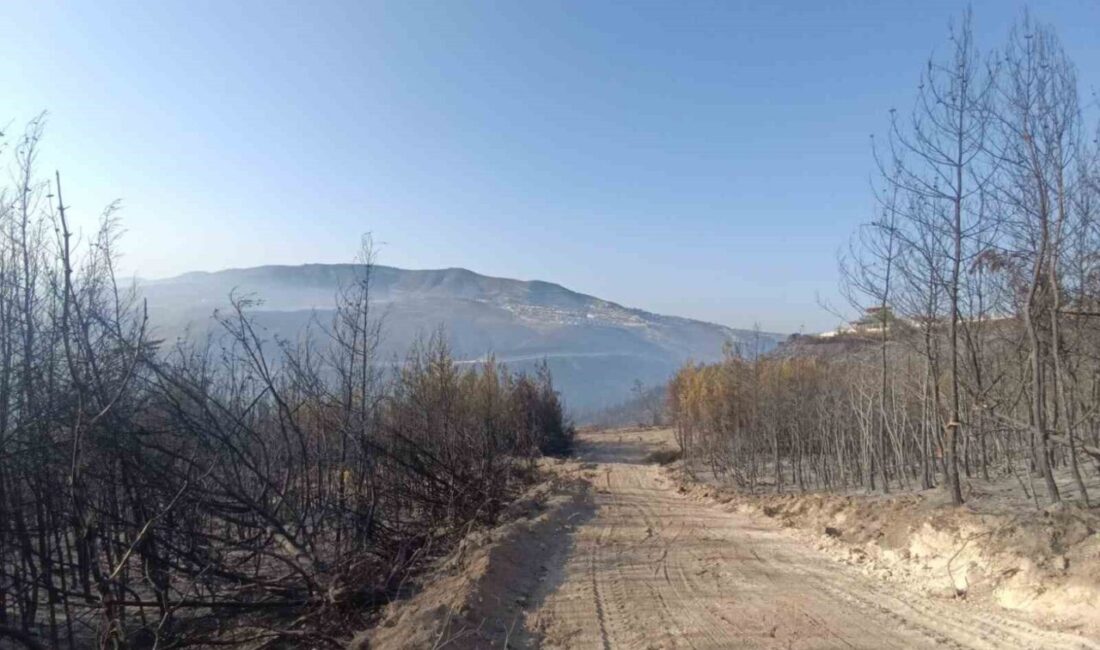 Hatay’da çıkan orman yangını ekiplerin karadan ve havadan müdahalesiyle 16.saatte