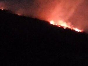 Hatay’ın Antakya ilçesi çıkan orman yangını büyümeden söndürüldü. Yangın, Antakya