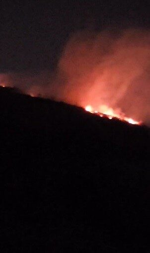 Hatay’ın Antakya ilçesi çıkan orman yangını büyümeden söndürüldü. Yangın, Antakya
