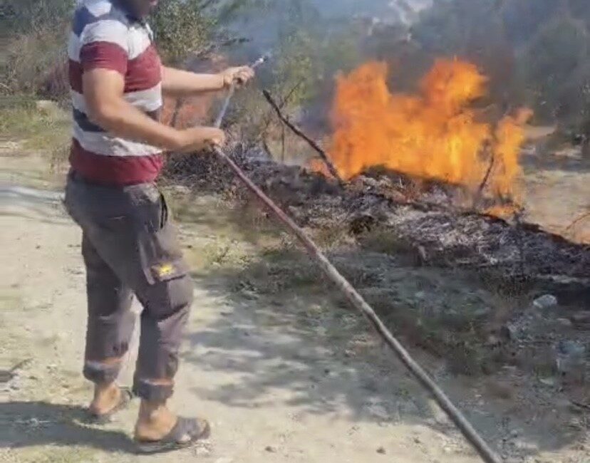 Hatay’ın Yayladağı ilçesinde sıcak havanın etkisiyle kopan elektrik teli, otluk