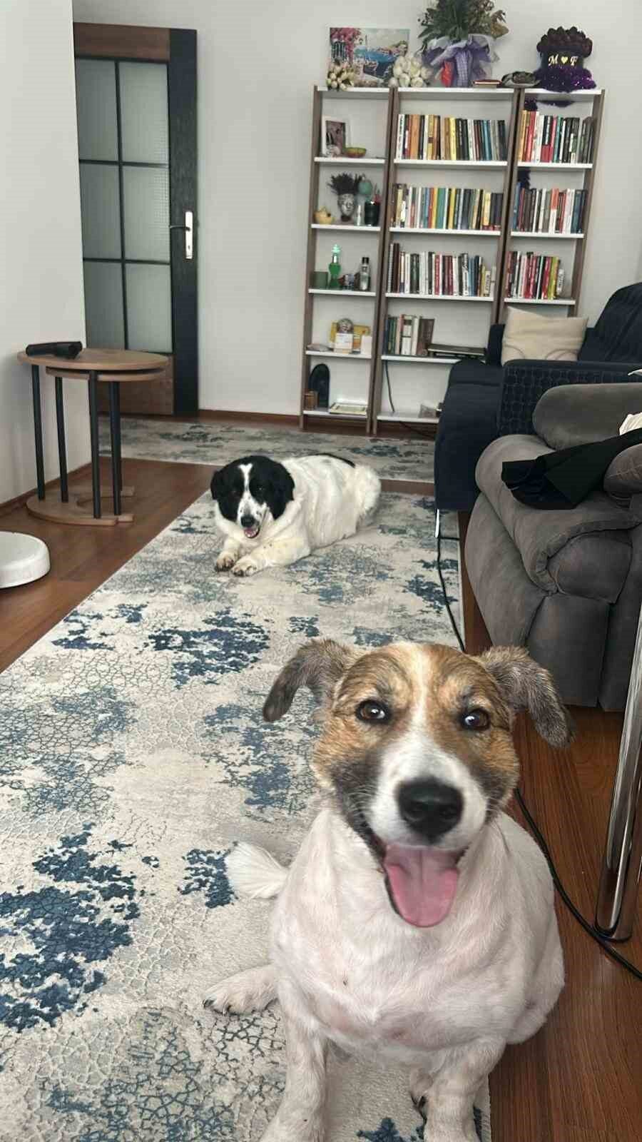 Kahramanmaraş merkezli depremler sebebiyle Ankara’ya getirilen ve uzun süre ayrı