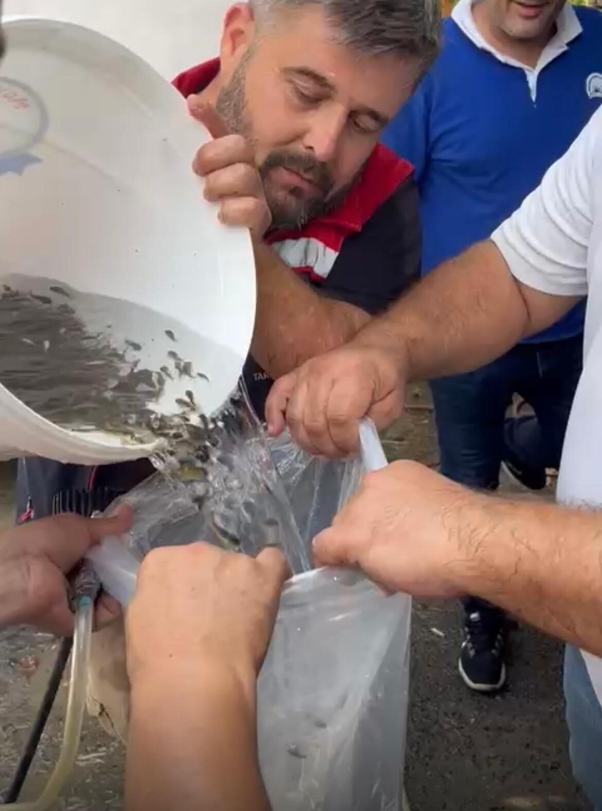 Tekirdağ’ın Hayrabolu ilçesindeki Çerkezmüsellim Göleti’ne 200 bin yavru sazan salındı.