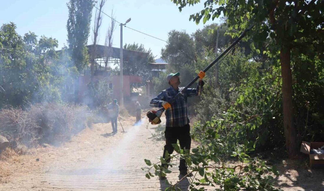 Nazilli Belediyesi Park ve Bahçeler Müdürlüğü ekipleri, kırsal mahallelerde başlattığı