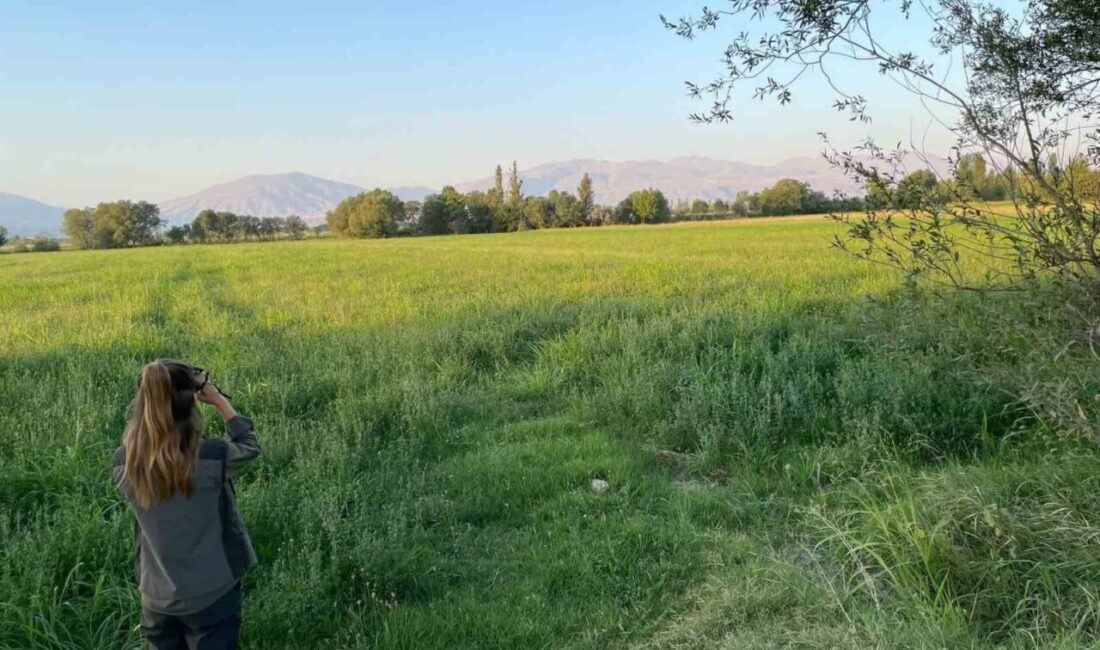 Merkez Av Komisyonu Kararı uyarınca, 2025-2026 Av Dönemi Iğdır’da 23