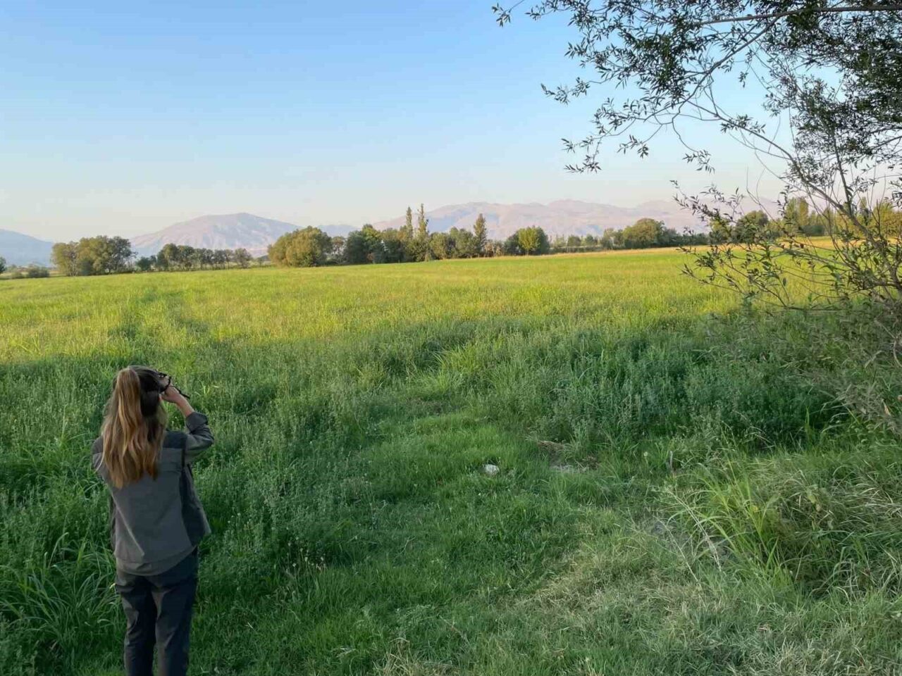 Merkez Av Komisyonu Kararı uyarınca, 2025-2026 Av Dönemi Iğdır’da 23