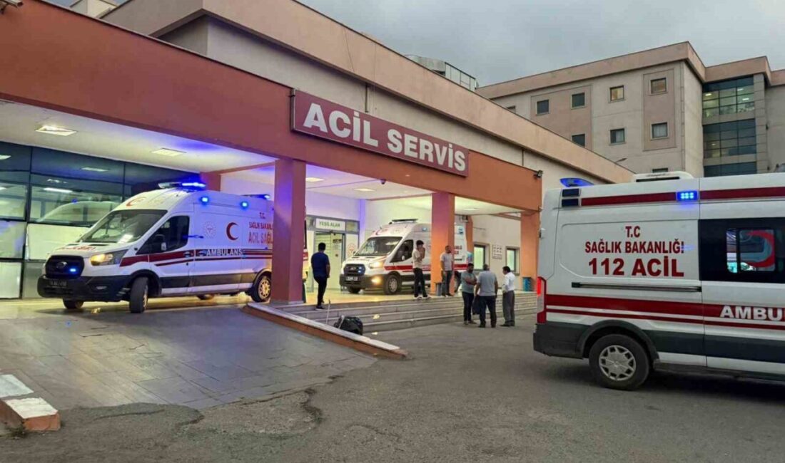 Iğdır’da iki hafta önce yaşanan yaş pasta kaynaklı gıda zehirlenmesi